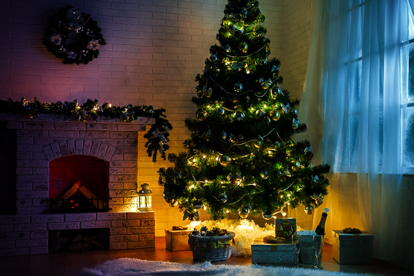 Como escolher a melhor árvore de Natal para sua casa